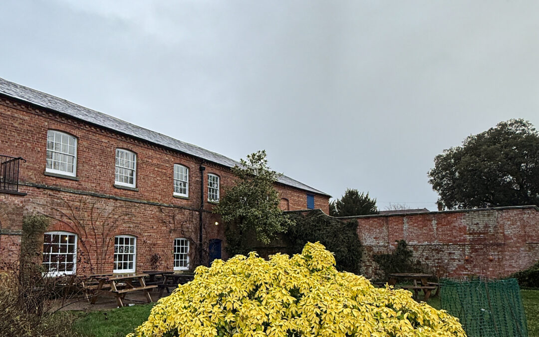 What’s New For Little Al’s Kitchen in 2026