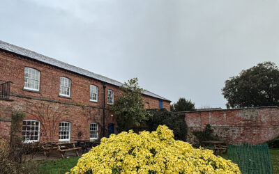 What’s New For Little Al’s Kitchen in 2026